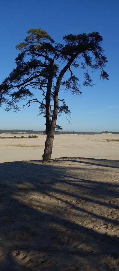 B&B Achterom Loon op Zand Exterior photo